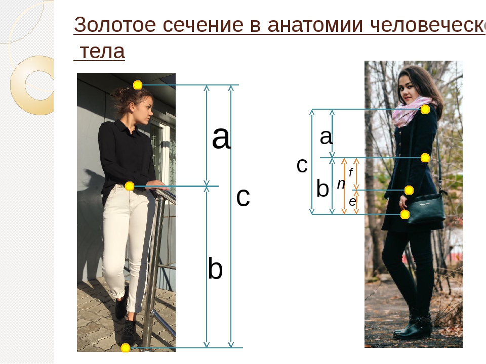 Правило фотографии золотое сечение