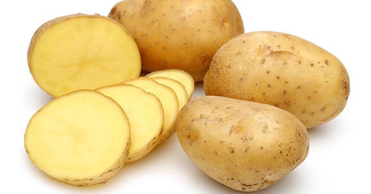 Высокоурожайный сорт картофеля скарб: описание, уход, отзывы
