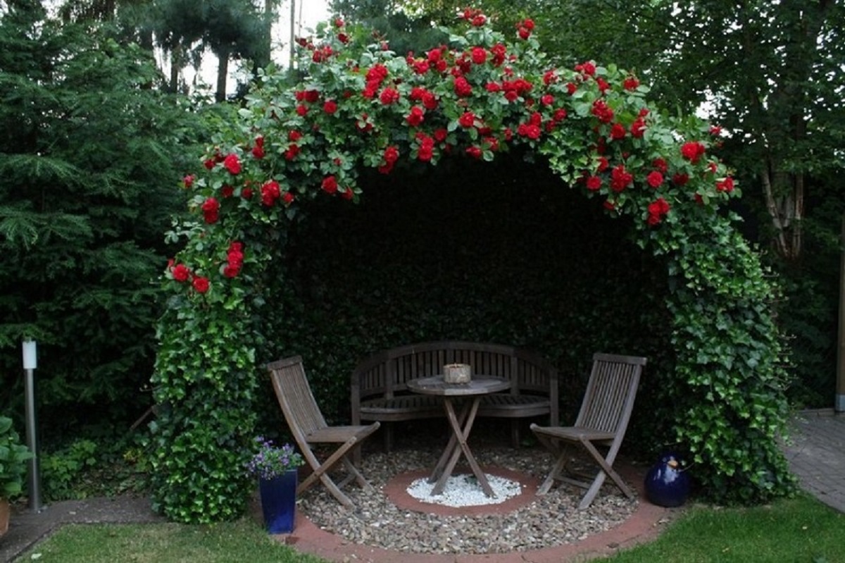 Розы в ландшафтном дизайне сада или дачного участка