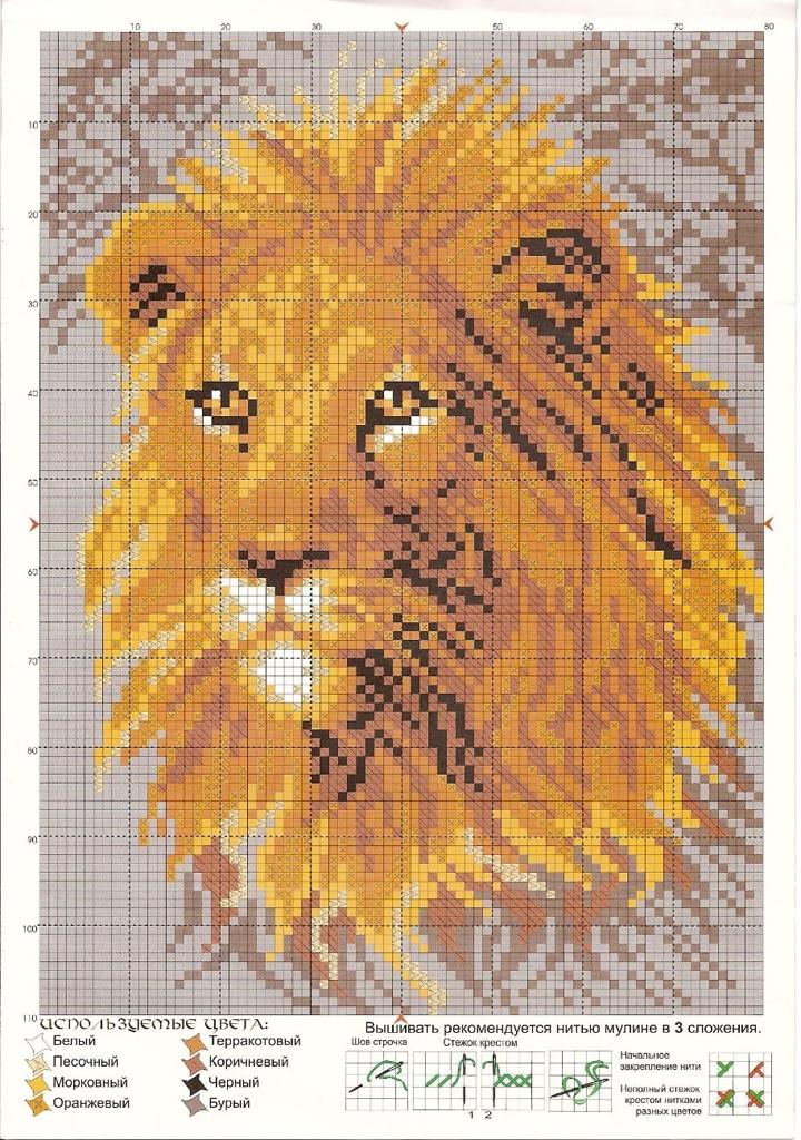 Креативная вышивка крестом: схемы львов и более 10 рекомендаций