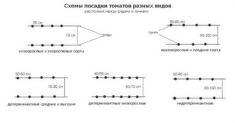 Схема посадки индетерминантных помидоров