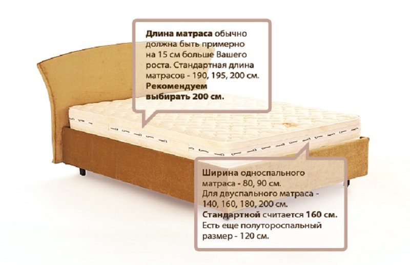 Кровать для подростков - как выбрать | виды моделей