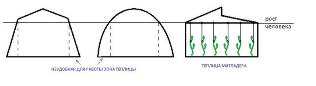 Теплица митлайдера из дерева чертежи