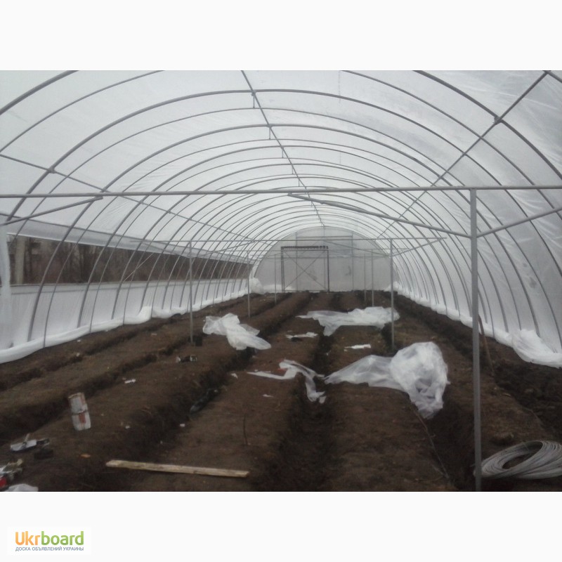 Выращивание клубники в тепличных условиях в зимний период: как это правильно делать, основные способы и рекомендации