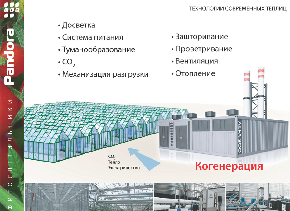 Бизнес план на теплицу