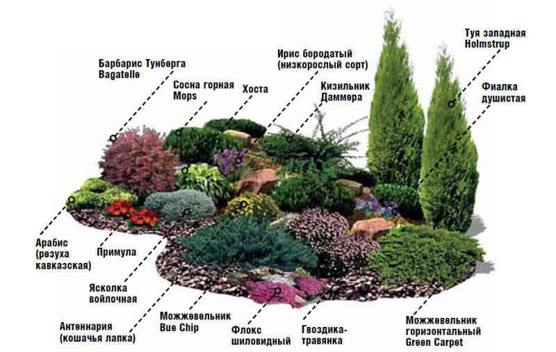 Схема укладки альпийской горки