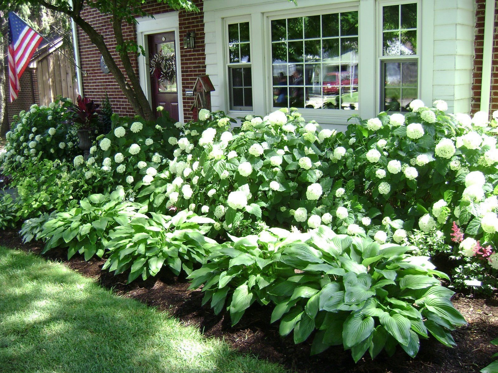 Гортензия в ландшафтном дизайне сада: фото садовых композиций с метельчатой гортензией, с чем посадить в клумбе, виды гортензий