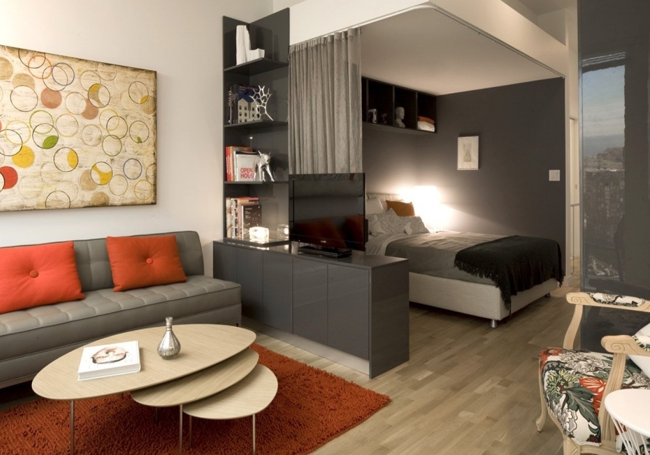 Однокомнатная квартира с кроватью и диваном дизайн фото
