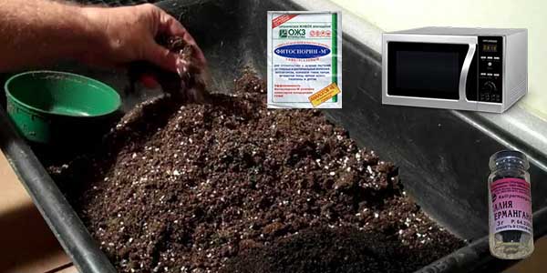 Пошаговая инструкция по обработке грунта: как обеззаразить почву в теплице без замены, выбор эффективных препаратов