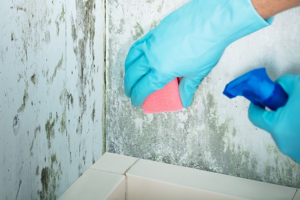Как убрать запах краски в квартире