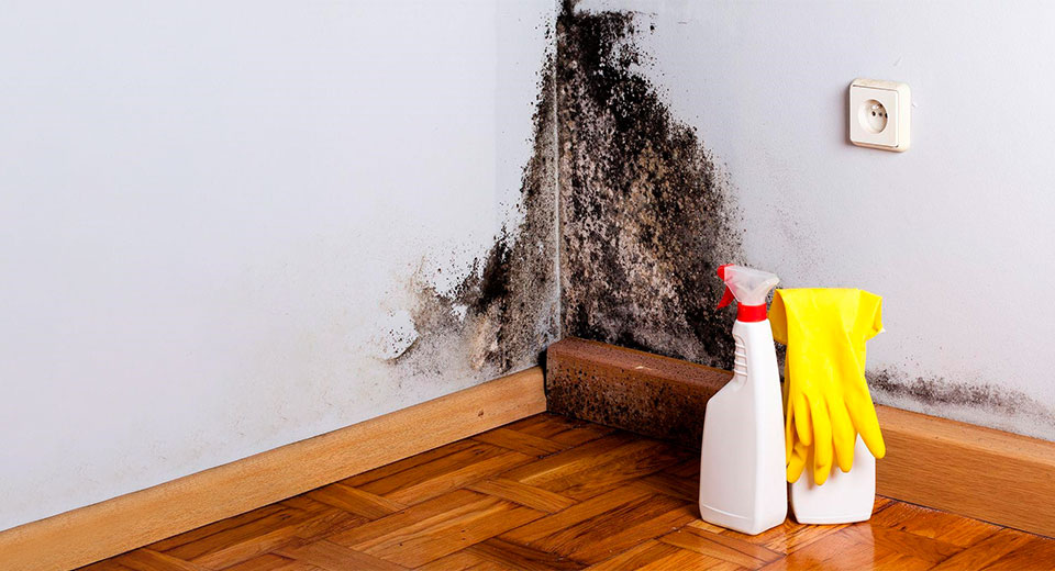 Как избавиться от запаха краски в квартире после и в процессе ремонта: важные советы