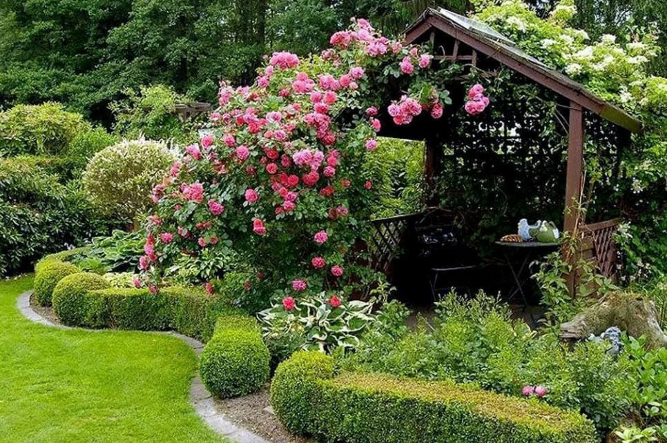 Розы на даче в ландшафтном дизайне, красивое оформление сада, правильная посадка, выращивание и уход за английскими, вьющимися, штамбовыми, парковыми и миниатюрными розами