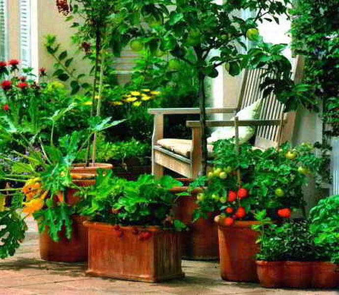 Как сделать вертикальный огород на балконе или лоджии