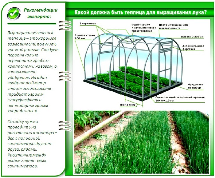 Бизнес план на постройку теплицы