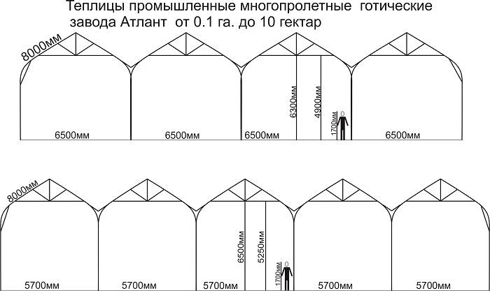 Теплица в английском стиле своими руками чертежи и размеры