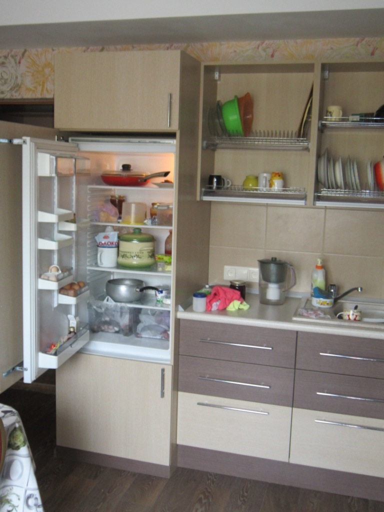 Встроенный холодильник в кухонный гарнитур: 22 фото удачного размещения
