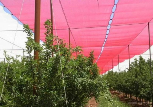 Как определиться с выбором солнцезащитной затеняющей сетки для растений в теплице