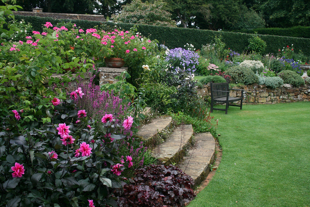 Розы в дизайне вашего сада: фото розариев на дачном участке, бордюров, цветников, арок и клумб