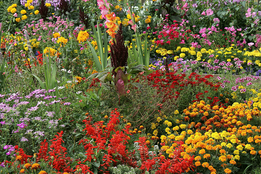 Клумба для дачи своими руками советы и идеи, красивый дизайн и оформление цветника, как посадить растения на участке и в саду