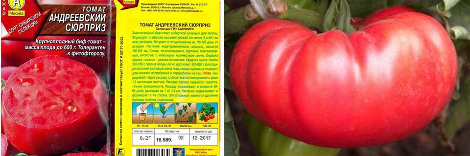 Лучшие сорта томатов для сибири с фото, описанием для открытого грунта и теплицы отзывы
