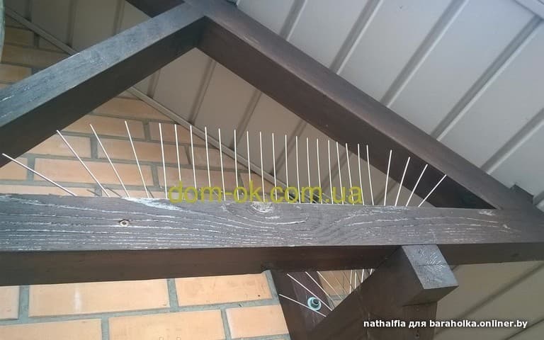 Проблемы балконов: как прогнать голубей