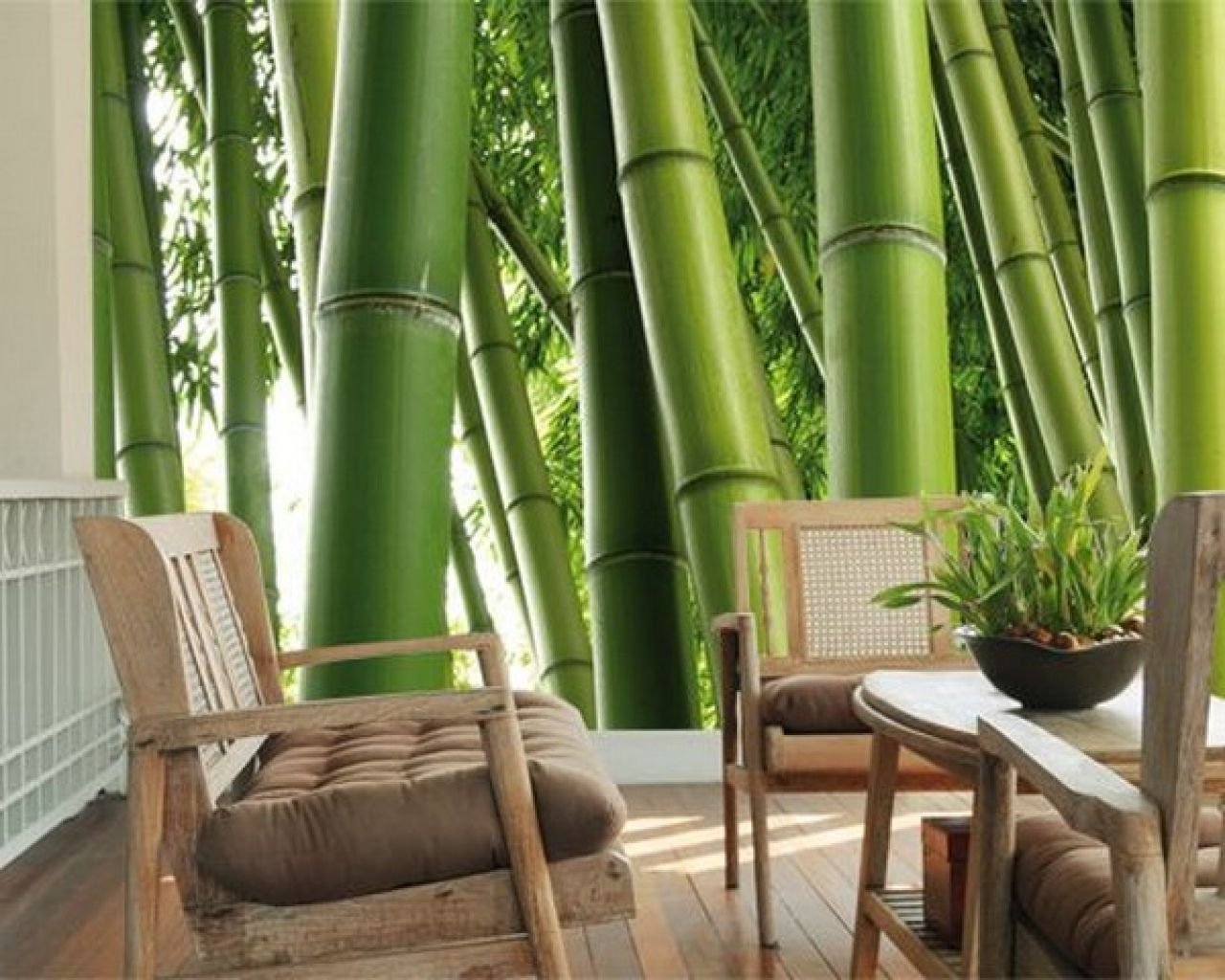 Экзотичный бамбук — роскошный акцент ландшафтного дизайна