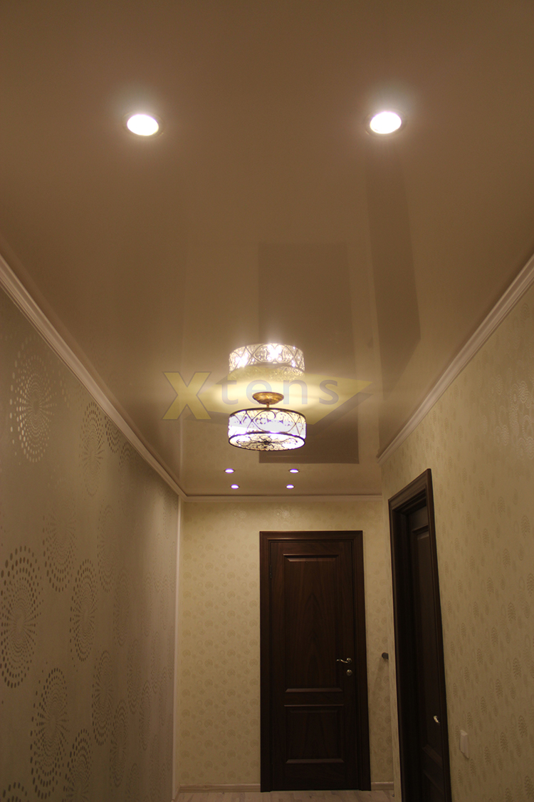 Натяжной потолок в прихожей дизайн фото с светильниками точечными