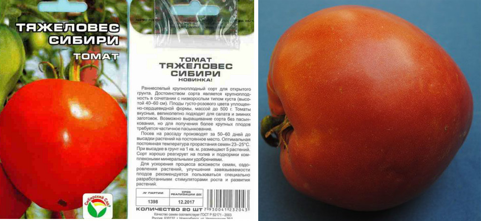 Самые урожайные сорта томатов для теплицы и их особенности