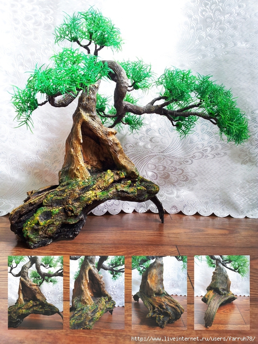 Как сделать бонсай из денежного дерева (толстянки) – своими руками, формирование, пошагово с фото