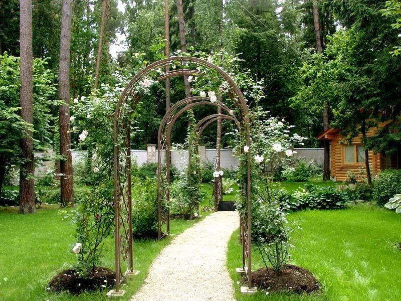 Разновидности арок для цветов – использование в дизайне сада