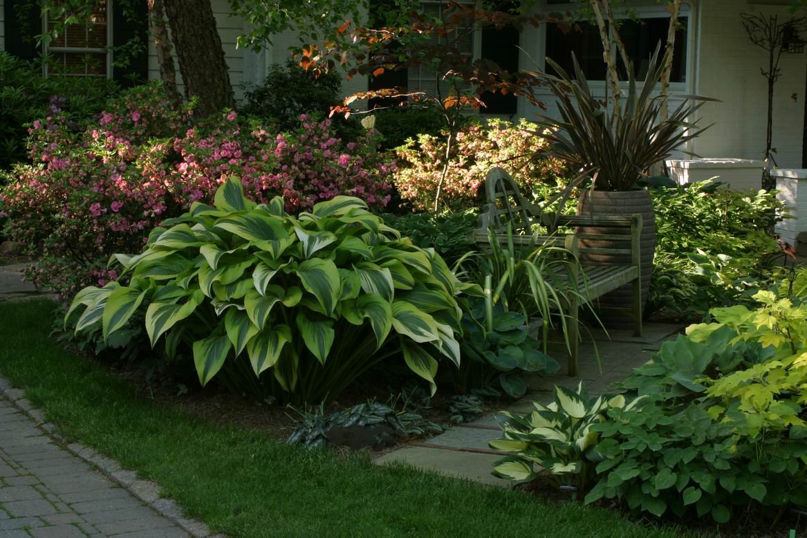 Оформление сада хостами: фото цветов на клумбе, лучшие соседи