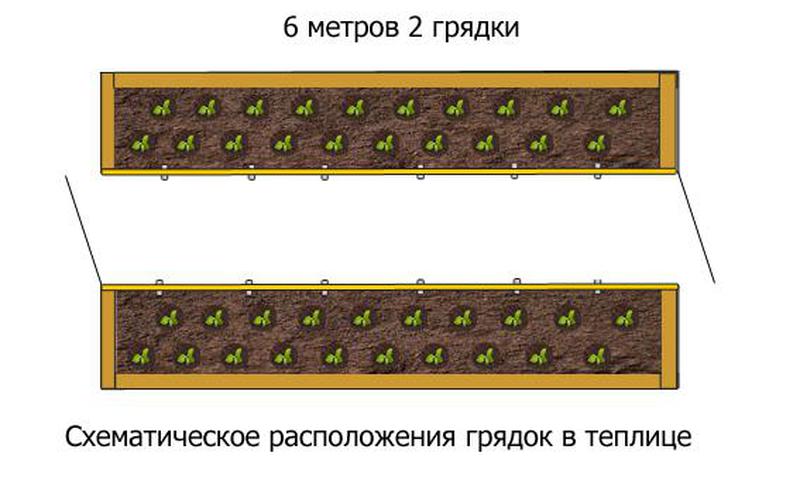 Схема грядок в теплице 3х6