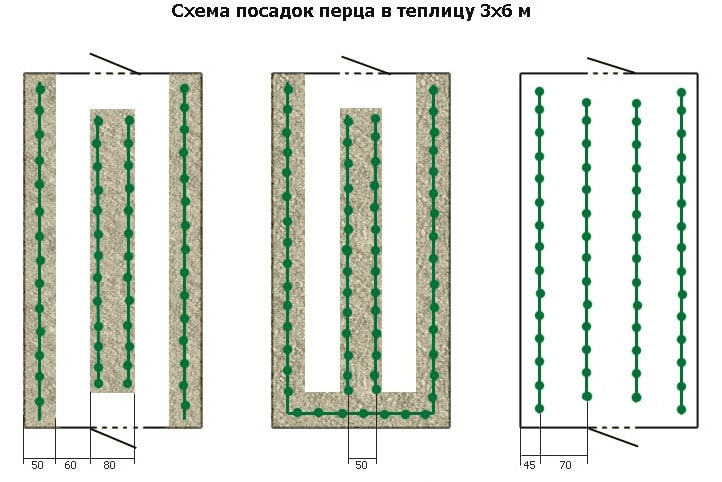 Схема грядок в теплице