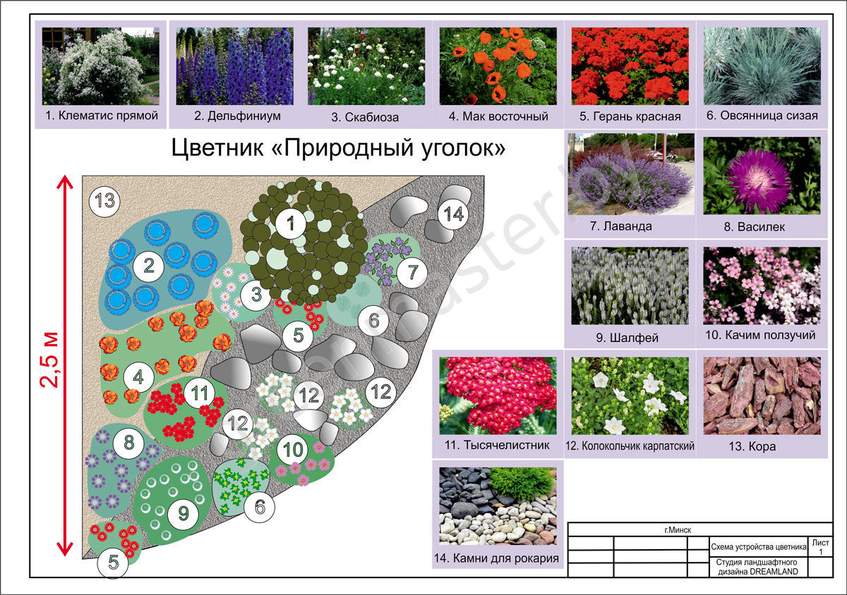 Список растений для ландшафтного дизайна с фото