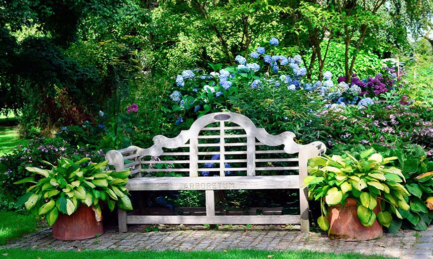 Садовая скамейка: 150 фото примеров постройки и размещения красивых садовых скамеек