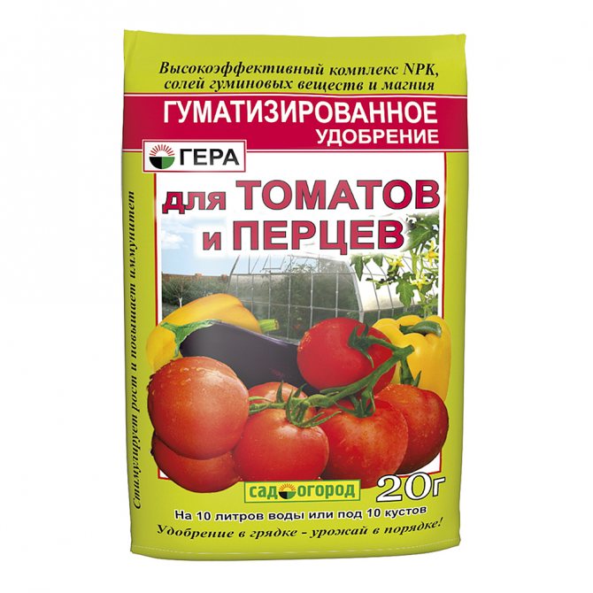 Чем  подкормить помидоры в теплице после высадки и во время созревания плодов: схемы подкормки