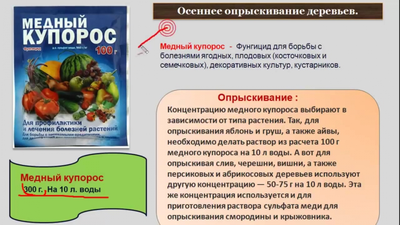 При Какой Температуре Можно Обрабатывать Деревья Железным Купоросом Осенью