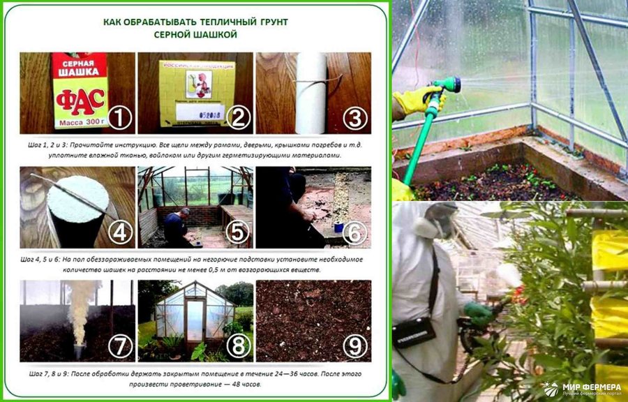 8 способов обеззаразить стенки и почву в теплице