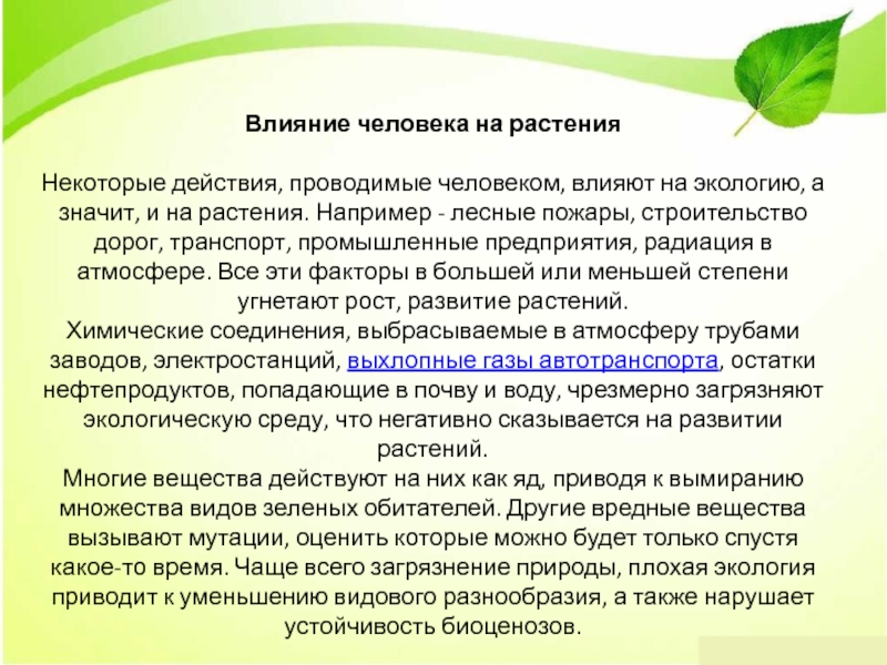 Сообщение влияние человека. Влияние человека на растения. Влияние растений на окружающую среду. Как влияет экология на растения.