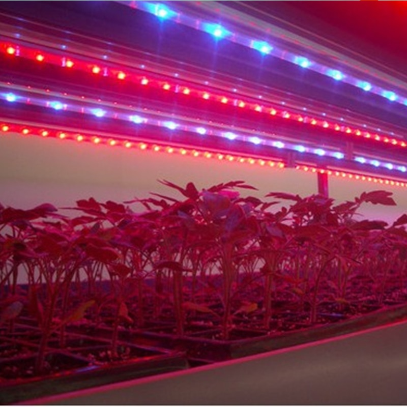 Светодиодные лампы для теплицы: преимущества, виды, особенности, монтаж своими руками диодного освещения русский фермер