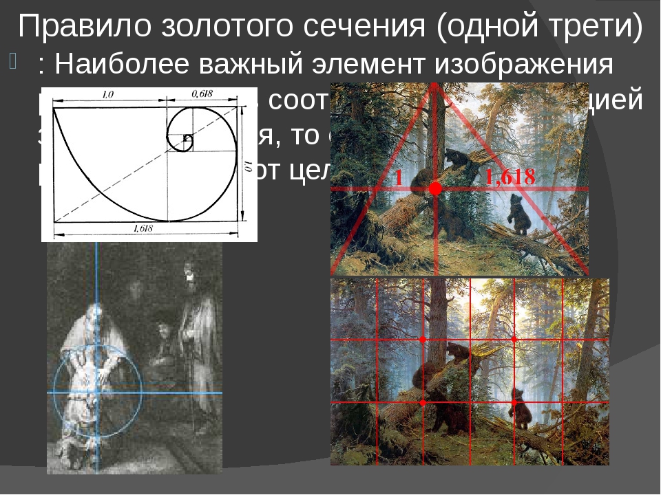 Золотое сечение в фотографии. что это и как его использовать :: syl.ru