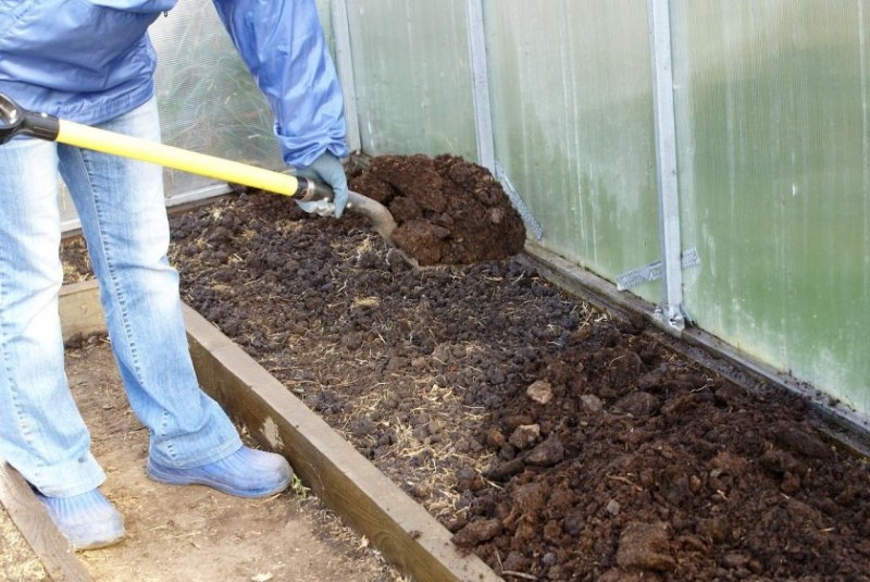 Марганцовка для обеззараживания теплиц на зиму, обработка почвы и дезинфекция земли от вредителей весной перед посадкой