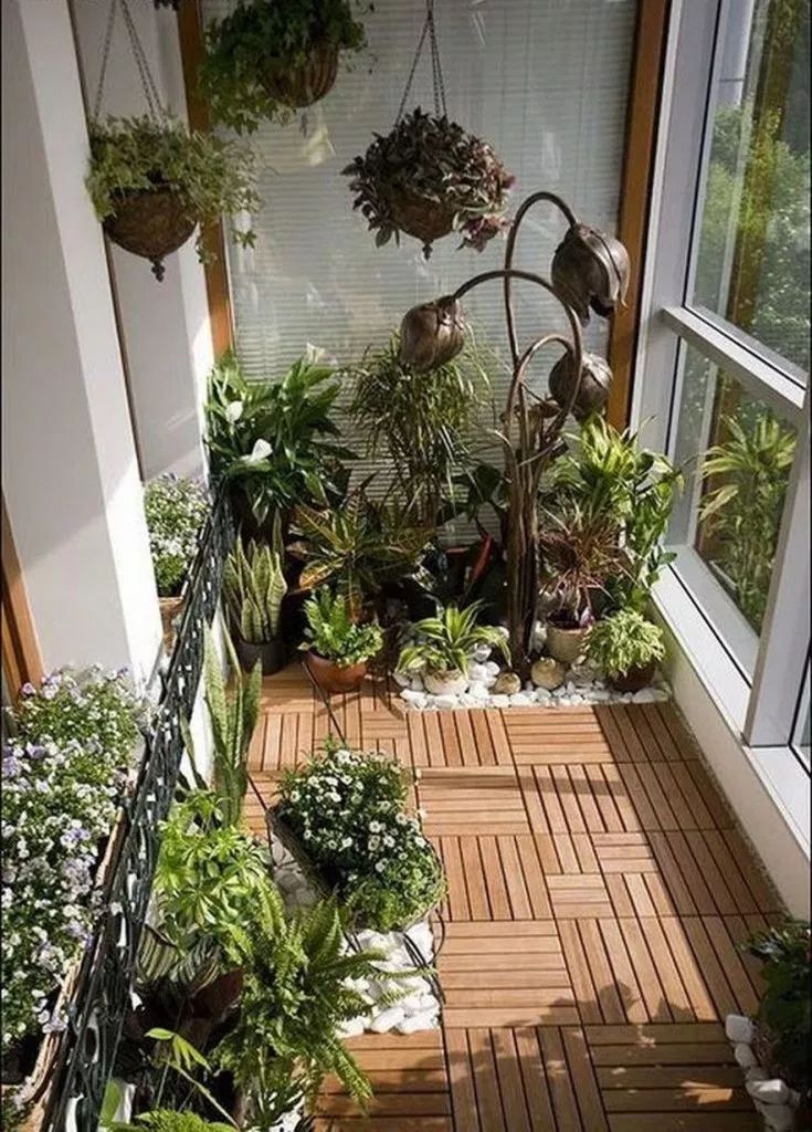 Как создать сад на балконе в середине зимы