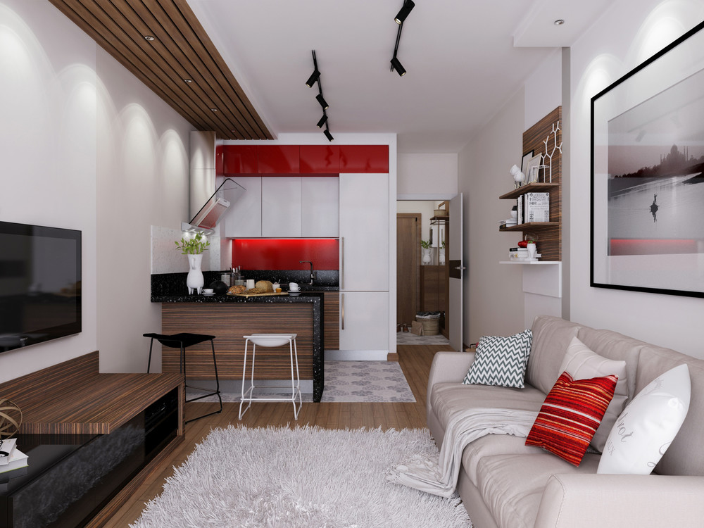 Красивый дизайн интерьера однокомнатной квартиры — 100 лучших идей на фото