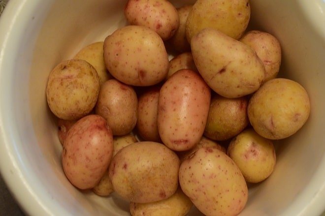 Барин — чипсовый картофель для климата Центрального региона