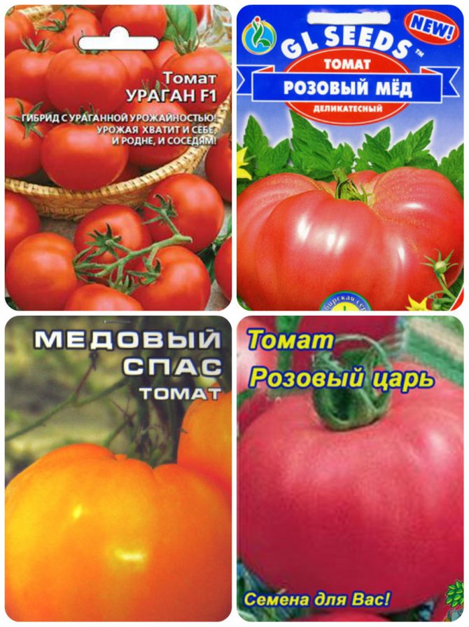 ????‍???? низкорослые томаты для теплицы: 5 сортов, подходящих для выращивания в парниках selo.guru — интернет портал о сельском хозяйстве