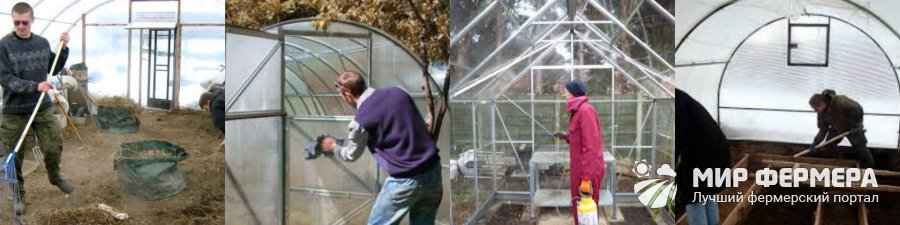 Медный купорос в садоводстве: инструкция применения, видео как разводить и обрабатывать растения