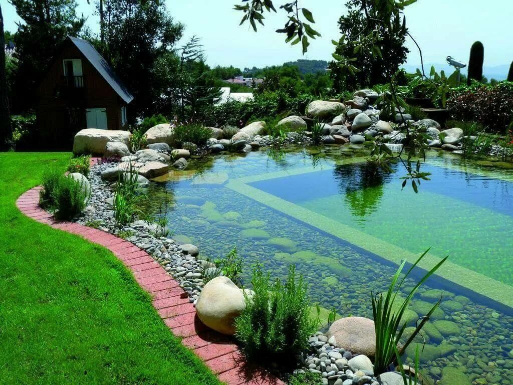 Ландшафтный дизайн с водоемом на дачном участке