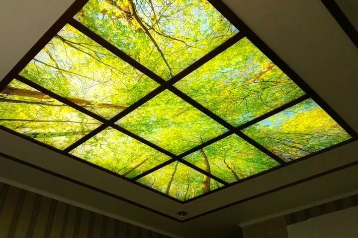 Стеклянный потолок с подсветкой: используемые материалы и варианты крепления